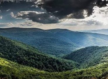 FB_IMG_1531123011748 (1)